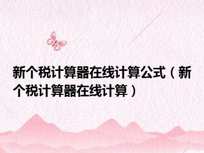 新个税计算器在线计算公式（新个税计算器在线计算）