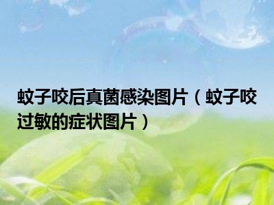 蚊子咬后真菌感染图片（蚊子咬过敏的症状图片）