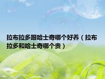 拉布拉多跟哈士奇哪个好养（拉布拉多和哈士奇哪个贵）