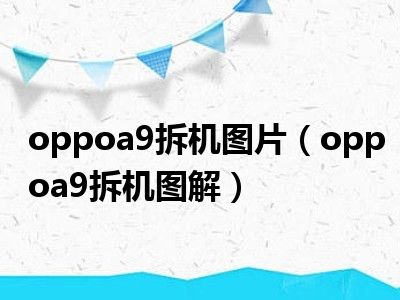 oppoa9拆机图片（oppoa9拆机图解）