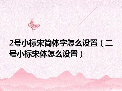 2号小标宋简体字怎么设置（二号小标宋体怎么设置）