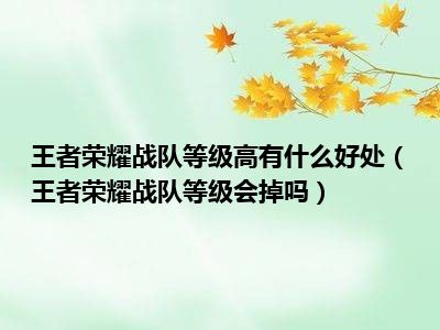 王者荣耀战队等级高有什么好处（王者荣耀战队等级会掉吗）