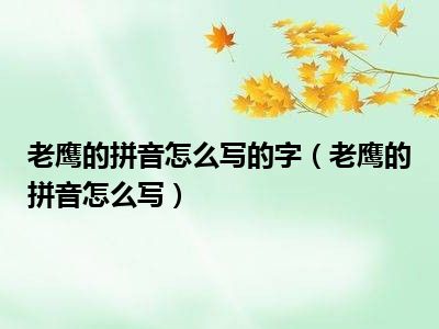 老鹰的拼音怎么写的字（老鹰的拼音怎么写）