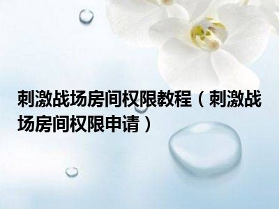 刺激战场房间权限教程（刺激战场房间权限申请）