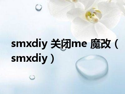 smxdiy 关闭me 魔改（smxdiy）