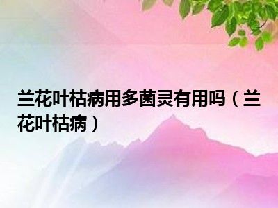 兰花叶枯病用多菌灵有用吗（兰花叶枯病）