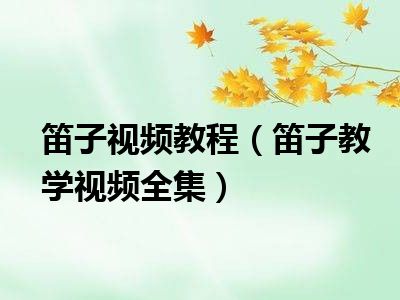 笛子视频教程（笛子教学视频全集）