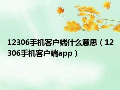 12306手机客户端什么意思（12306手机客户端app）