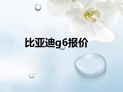 比亚迪g6报价