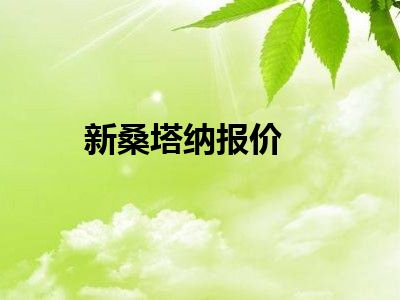 新桑塔纳报价