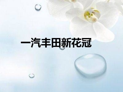 一汽丰田新花冠