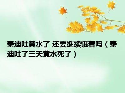 泰迪吐黄水了 还要继续饿着吗（泰迪吐了三天黄水死了）