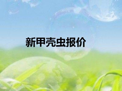 新甲壳虫报价