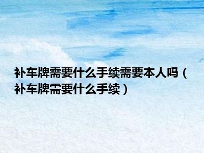 补车牌需要什么手续需要本人吗（补车牌需要什么手续）