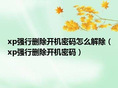 xp强行删除开机密码怎么解除（xp强行删除开机密码）
