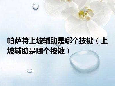 帕萨特上坡辅助是哪个按键（上坡辅助是哪个按键）