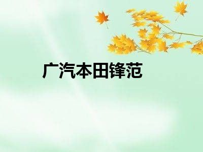 广汽本田锋范