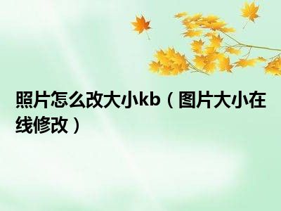 照片怎么改大小kb（图片大小在线修改）