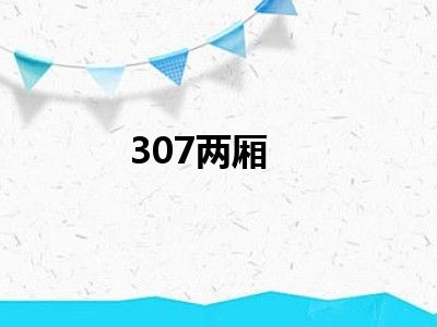 307两厢