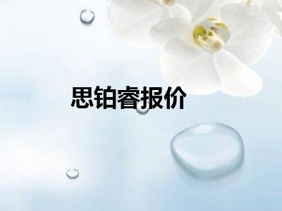 思铂睿报价