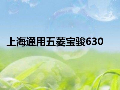 上海通用五菱宝骏630