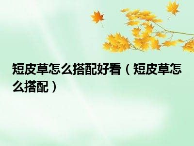 短皮草怎么搭配好看（短皮草怎么搭配）