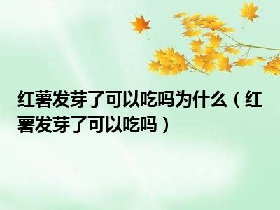 红薯发芽了可以吃吗为什么（红薯发芽了可以吃吗）