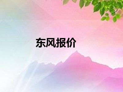 东风报价