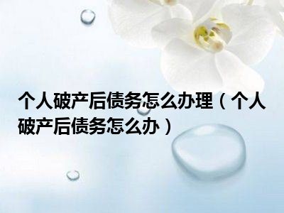 个人破产后债务怎么办理（个人破产后债务怎么办）