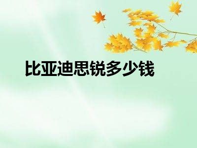 比亚迪思锐多少钱
