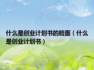 什么是创业计划书的脸面（什么是创业计划书）