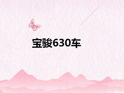 宝骏630车