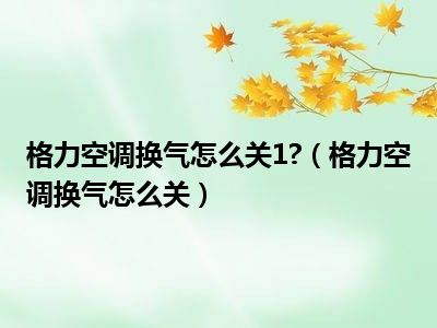 格力空调换气怎么关1?（格力空调换气怎么关）