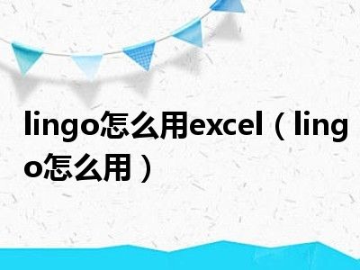 lingo怎么用excel（lingo怎么用）