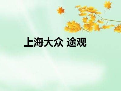 上海大众 途观