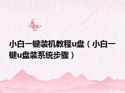 小白一键装机教程u盘（小白一键u盘装系统步骤）