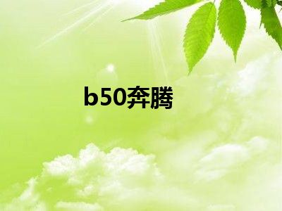 b50奔腾