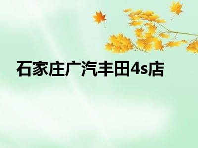 石家庄广汽丰田4s店