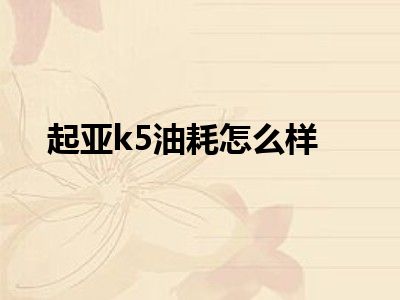 起亚k5油耗怎么样