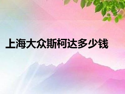上海大众斯柯达多少钱
