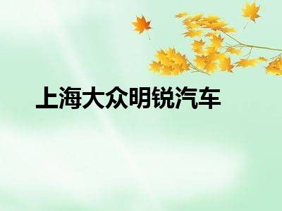 上海大众明锐汽车