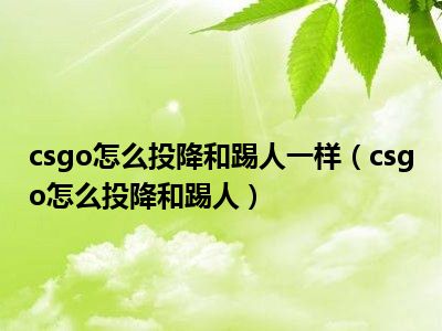 csgo怎么投降和踢人一样（csgo怎么投降和踢人）