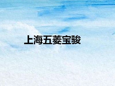 上海五菱宝骏