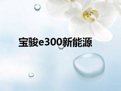 宝骏e300新能源
