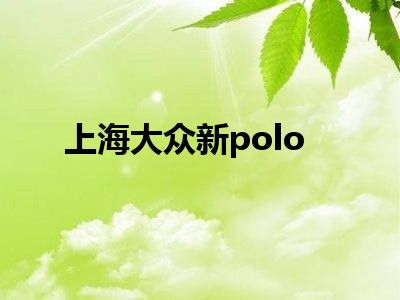 上海大众新polo