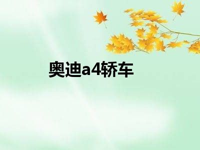 奥迪a4轿车