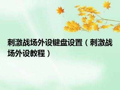 刺激战场外设键盘设置（刺激战场外设教程）