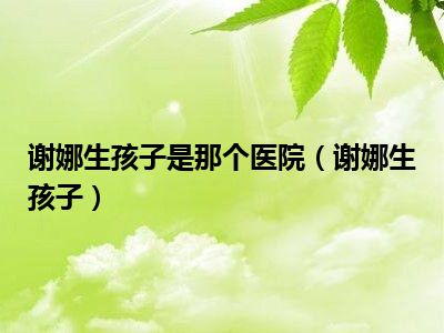 谢娜生孩子是那个医院（谢娜生孩子）