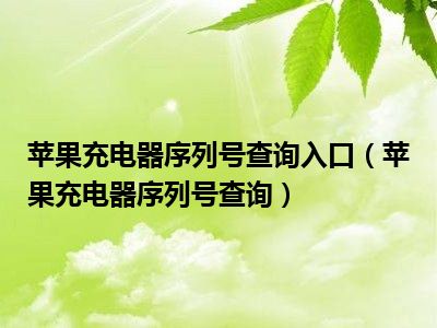 苹果充电器序列号查询入口（苹果充电器序列号查询）