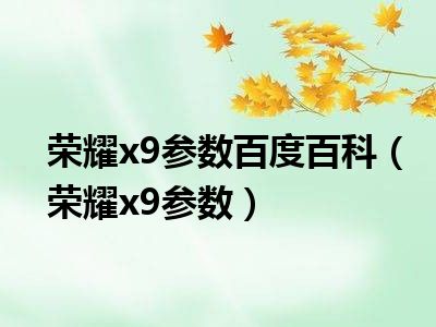 荣耀x9参数百度百科（荣耀x9参数）